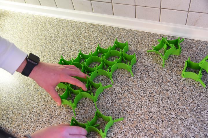 Produktbild Froli Alleshalter, Set 16 Stück, Grün