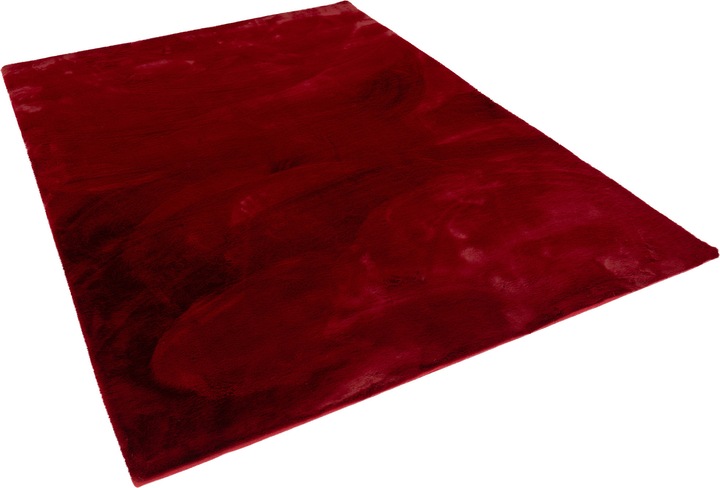 Rot