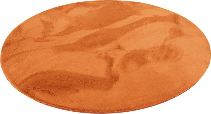 Produktbild Pergamon Luxus Super Soft Fellteppich Plush Rund (160 cm)