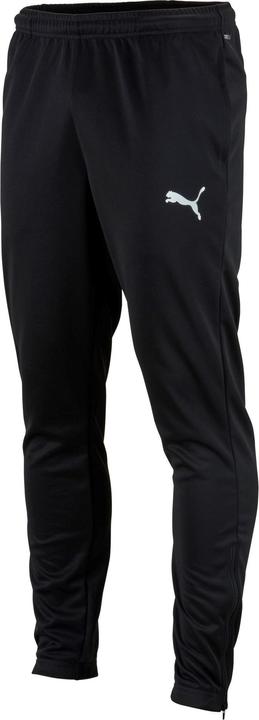 Actual product image Puma teamRISE Poly Training Pants-657390 (XXL)