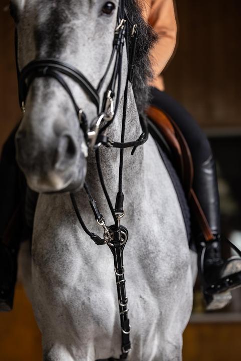 Image du produit HFI Master Gogue pour cheval