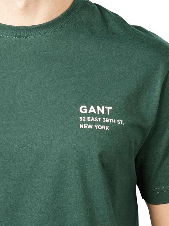 Actual product image GANT Small Logo T-Shirt Short Sleeve Tartan Green (L)