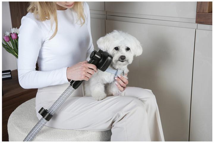 Actual product image BerlingerHaus Haus Staubsauger Pet Black Rose Collection