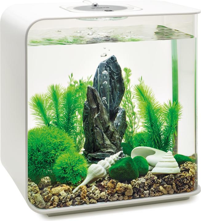 Image du produit Oase biOrb Aquarium 30 Set de décoration (Décoration, autres bâtiments)