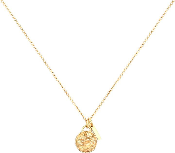 Immagine prodotto Elli Collana Piastrina Vintage Rod Element Argento 925 (Argento 925, 45 cm)