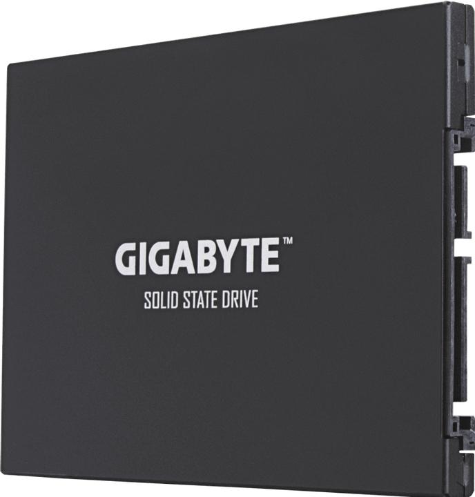 Produktbild Gigabyte GP-GSTFS30256GTTD (256 GB, 2.5")
