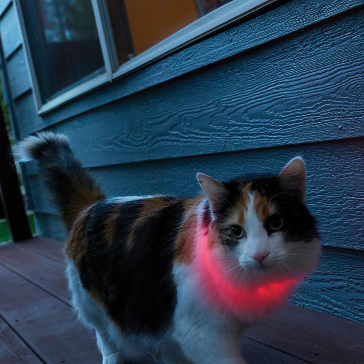 Actual product image Nite Ize NiteMeow LED Safty Necklace (Cat, General)