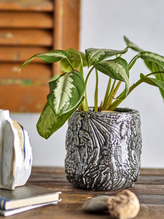 Image du produit Creative Collection Nikou (18 x 17 cm)