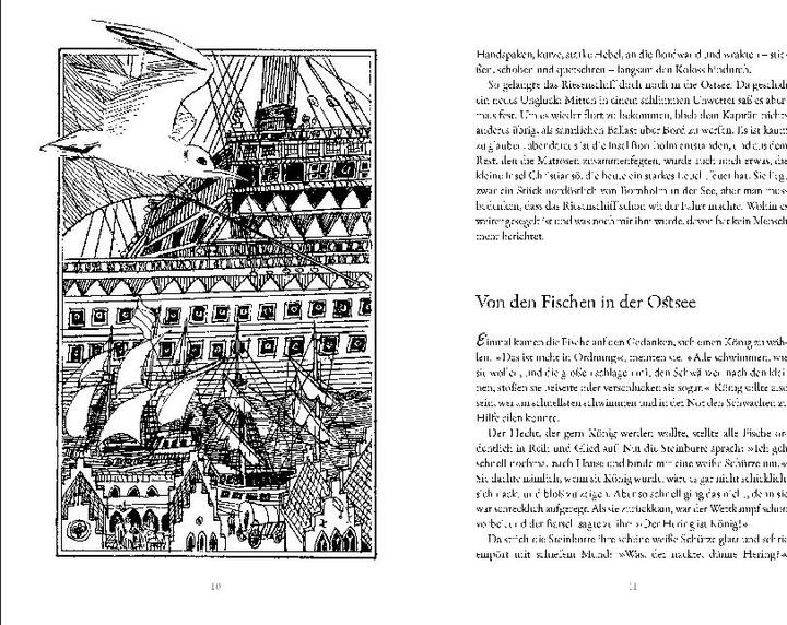 Produktbild Von den Fischen in der Ostsee (Deutsch, Albert Burkhardt, Werner Schinko, 2018)