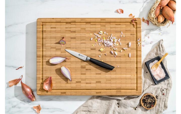 Actual product image Zwilling All Star Paring Knife 100, chrome-silver (10 cm)