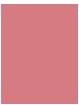 Actual product image Max Factor Lip gloss Lipfinity Velvet Matte #020-coco cream (020 Coco Cream)