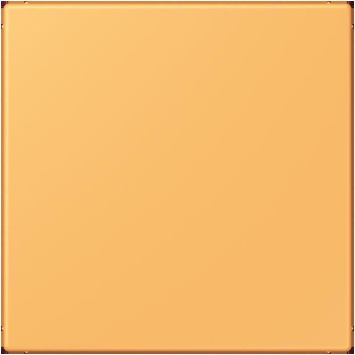 Produktbild JUNG Blindabdeckung