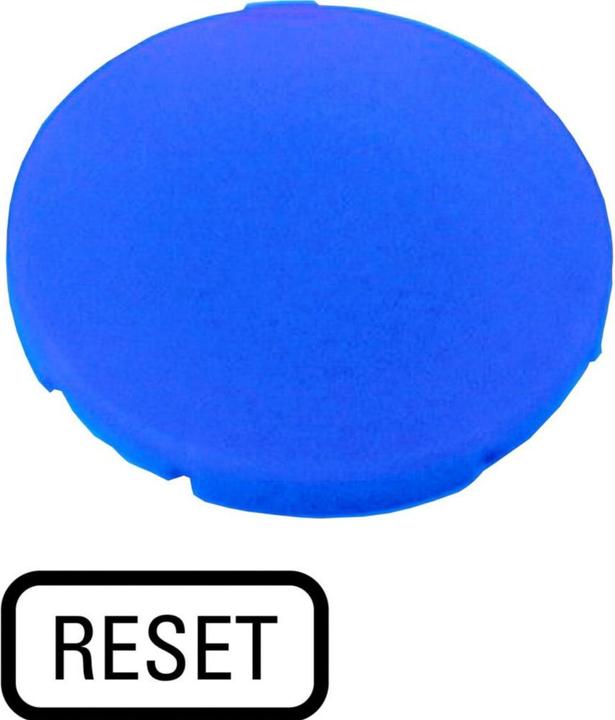 Actual product image Eaton 218204 Button plate, flat blue, reset