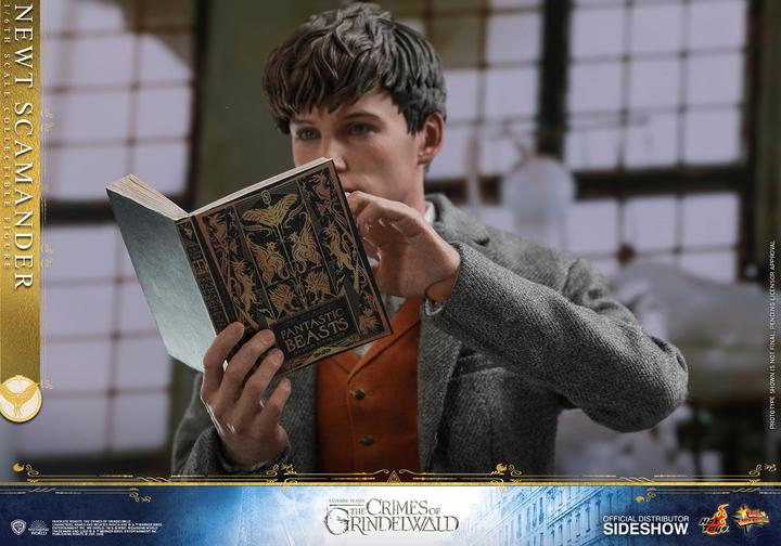 Actual product image Hot Toys Fantastic Beasts 2 "Newt Scamander" 1/6 Scale Figure