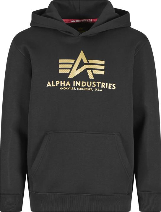 Actual product image Alpha Industries Basic Carbon Hoodies - 196249 (S)