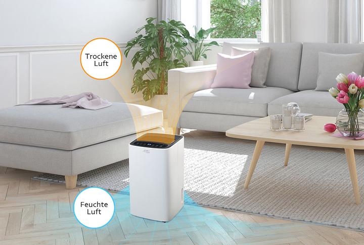 Actual product image Sichler Smart Wi-Fi Dehumidifier (12 l/24h)