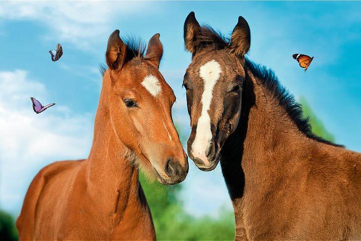 Actual product image Trefl Dear animals (54 pieces)