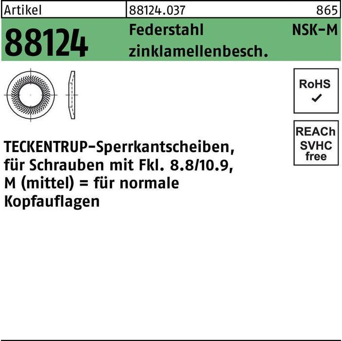 Produktbild Teckentrup Sperrkantscheibe R 88124 NSK-M 4 Federstahl zinklamellenbeschichtet