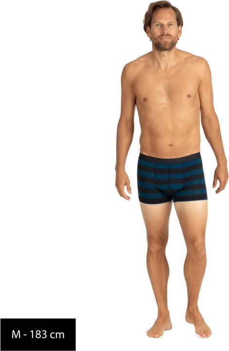 Image du produit Stoic Merino150 AlsenSt. Boxer (3XL)
