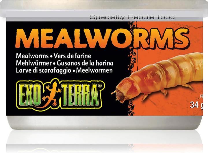 Exo Terra Reptile food Mealworms 34g (1 x, 0.03 kg)