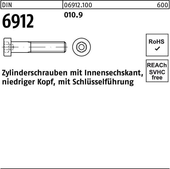 Actual product image Cheese head screw DIN 6912 with hexagon socket M 12 x 30 010.9 (100 Screws per piece)