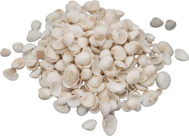 Fournitures pour loisirs créatifs