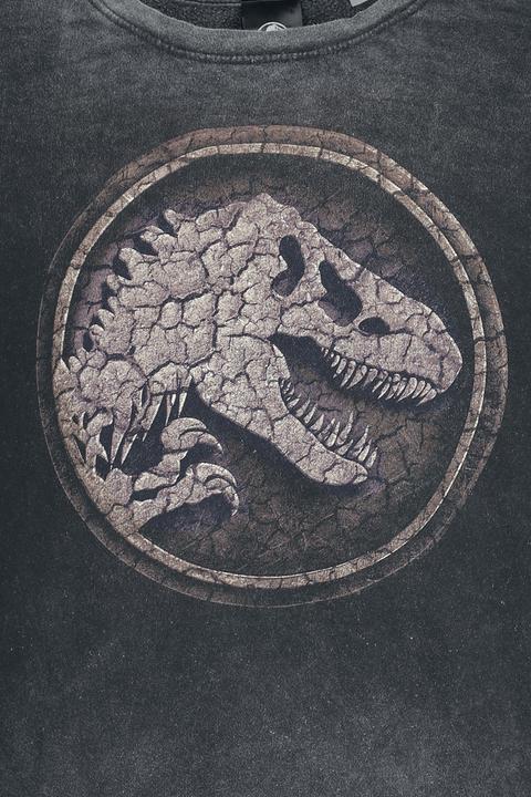 Produktbild Jurassic Park Cracked Earth (S)
