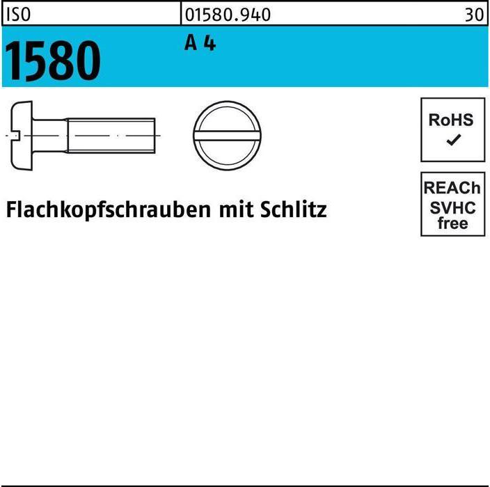 Actual product image ISO 1580 m.Schlitz (500 Screws per piece)