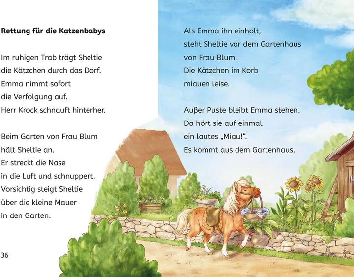 Actual product image Kosmos Sheltie, Bücherhelden 1. Klasse, Sheltie und die Katzenbabys (German, Carola of Boiler, Nadine Reitz, 2024)