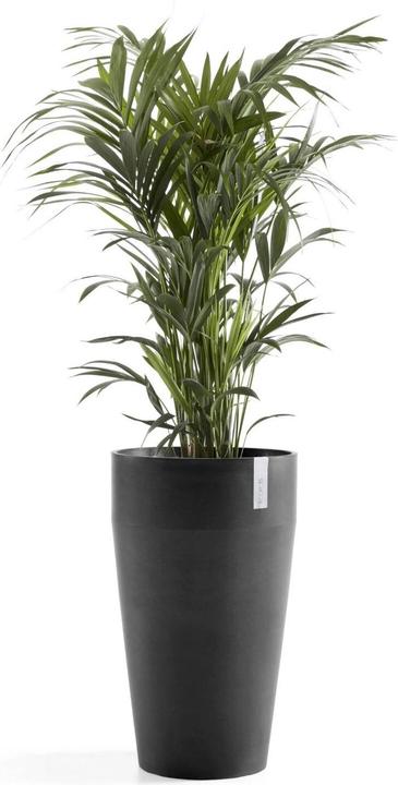 Actual product image Ecopots Sankara