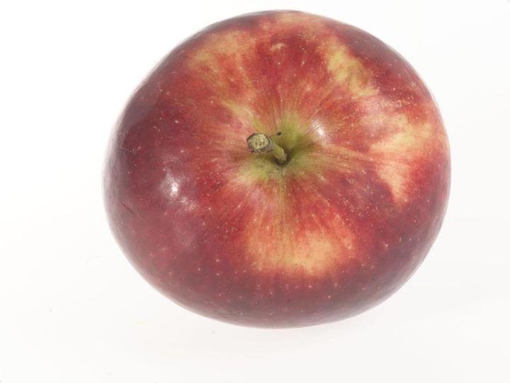 Actual product image Lubera Two columnar apple trees for the tub