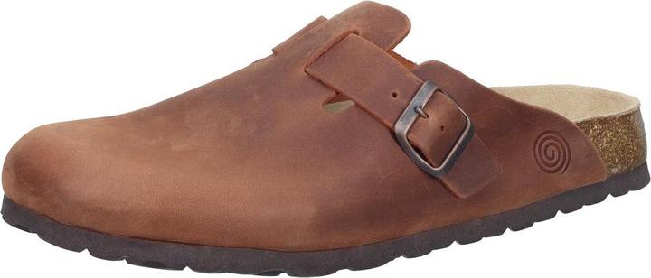 Image du produit Dr. Brinkmann Nerpio Clogs (43)