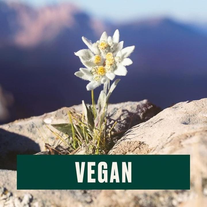 Image du produit The Body Shop Edelweiss Cleansing Concentrate (Gel nettoyant, 100 ml)