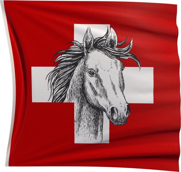 Immagine prodotto Keller Fahnen Schweizerfahne «Pferd» Superflag® 150x150 cm