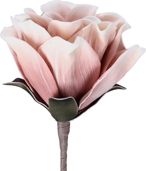 Immagine prodotto EGLO LIVING Molave (65 cm)