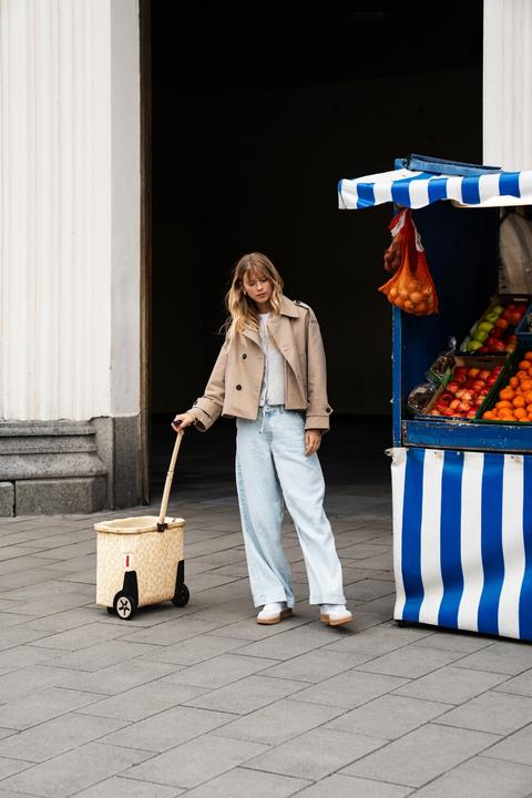 Immagine prodotto reisenthel Carrycruiser