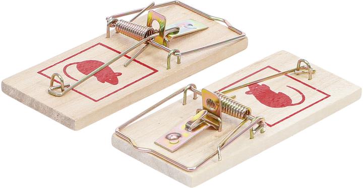 Actual product image BGS Mousetrap 2 pcs.