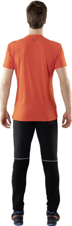 Produktbild Dynafit Transalper (L)