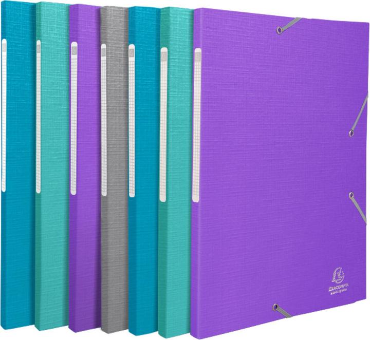 Actual product image Exacompta Folder (A4, 1 x)