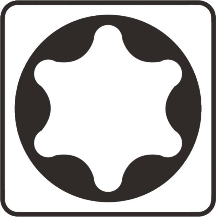 Actual product image Makita TORX insert (T15)