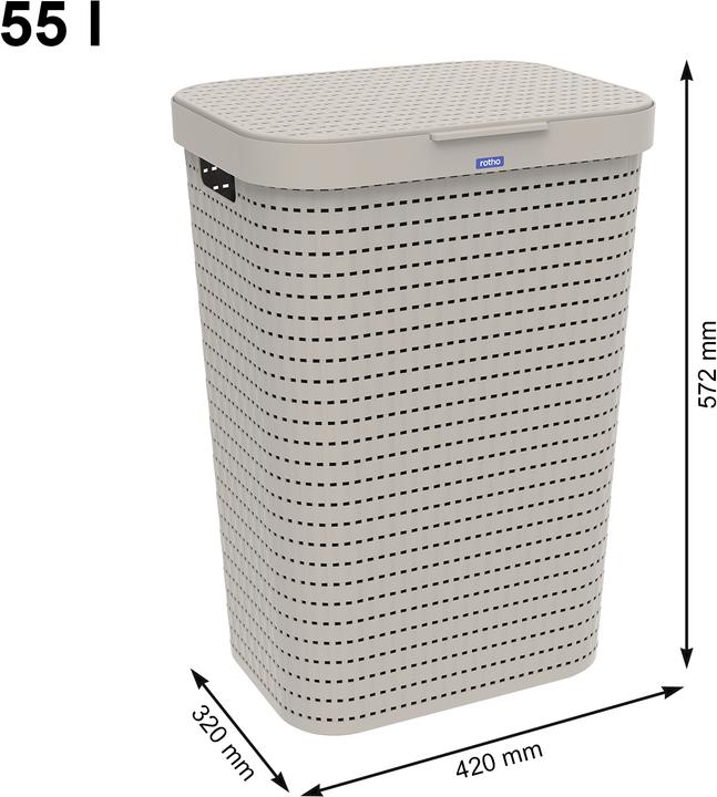 Image du produit Rotho Pays (55 l)