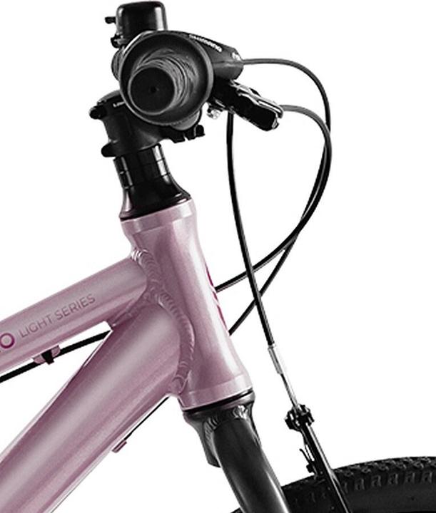 Actual product image Puky 20" LS-Pro 20-7 (20")