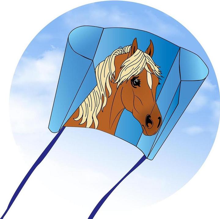 Actual product image Invento Sleddy Pony