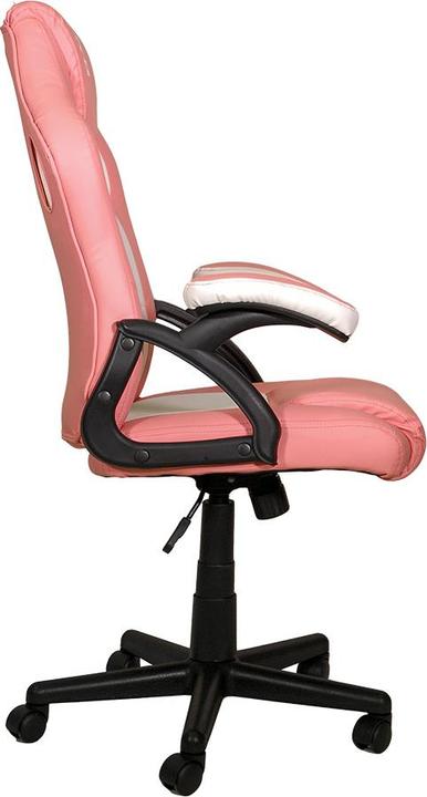 Actual product image Xtreme MX12 KOR