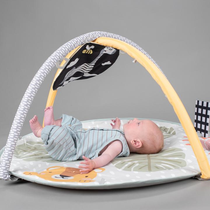 Productafbeelding Taf Toys Savannah