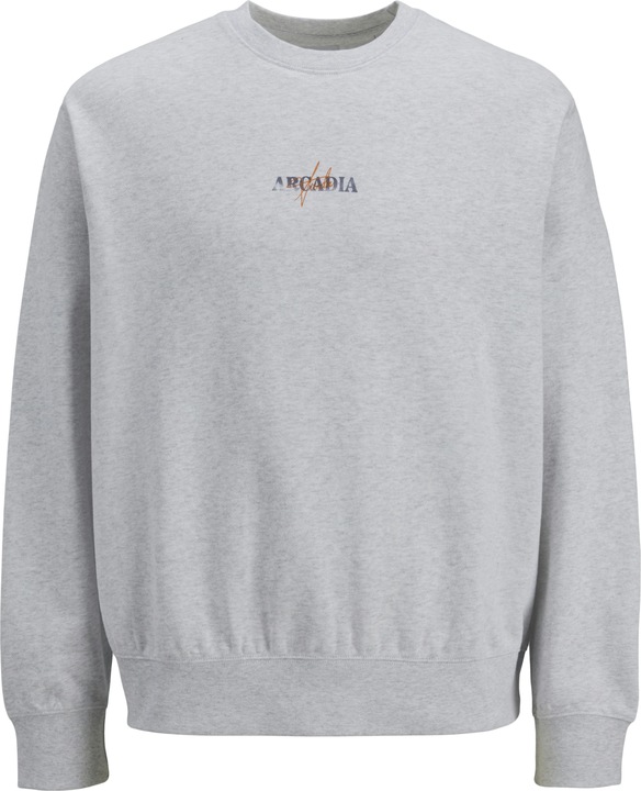 Immagine prodotto Jack & Jones Jjecharge Graphic Sweat O-N Styd Aw24 Ln (L)