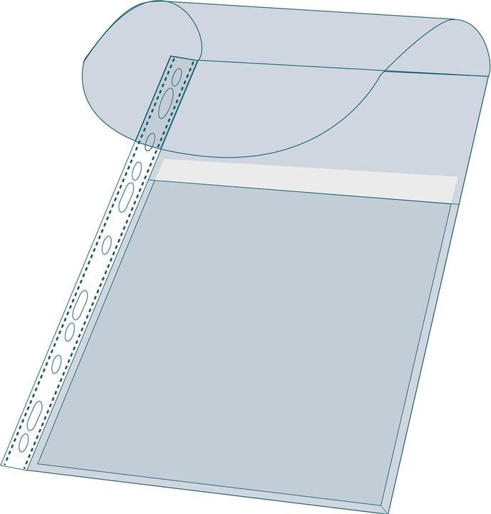 Exacompta Show pocket kangaroo A4, transparent (A4, 10 x)