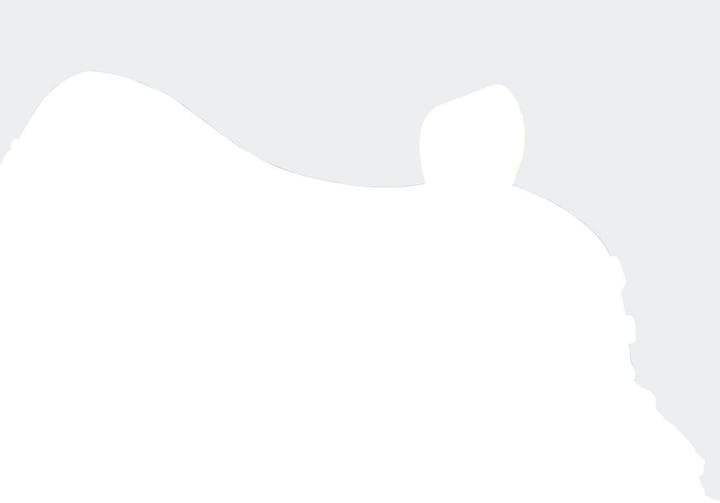 Image du produit Adidas Crazyflight 6 Mid M (45 1/3)