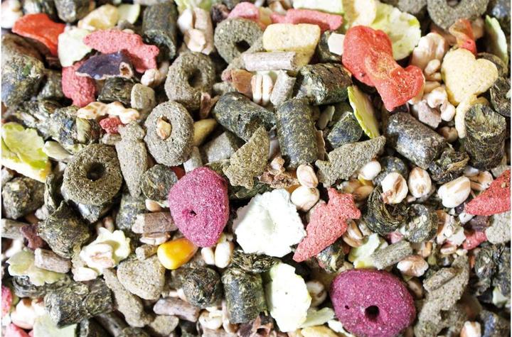 Actual product image JR Farm Staple food Basic Dwarf Rabbit Feast, 2.5 kg (2.50 kg, 1 x)