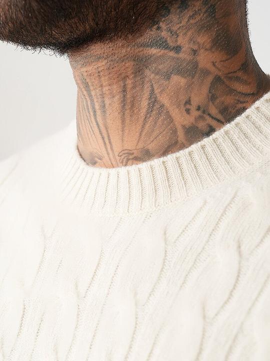 Actual product image Lacoste Pullover (3XL)